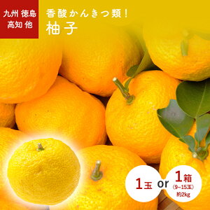 柚子(ゆず・黄柚子) 1玉 1箱(9~15玉) (高知・大分・福岡)香酸柑橘