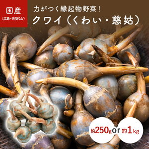 @؁@NCi킢EƁj͂N؁I@250g@1kg@YiLEȂǁj@̂ɌȂI