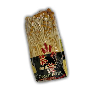 uÊ 100g1pbN Y