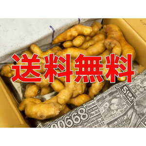 聄@Ii傤j 1i4kgjY@ƖpEʔ̔