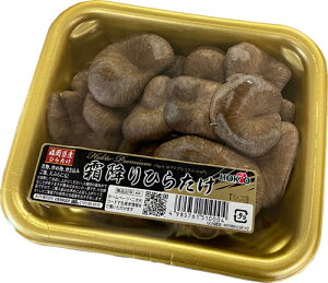 iЂ炽j 1pbN Y