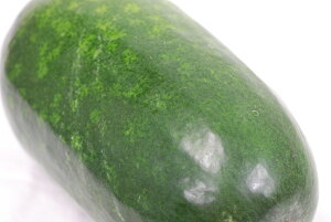 ~ZiƂj3kgȏ̑ 1 Y(EREm)