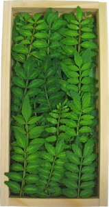 ؂̉î߁ER̗tj@1pbN@Y