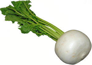 BY@ԁiJuEj@@1ʁ@B̈SESȖ؁I@YEB