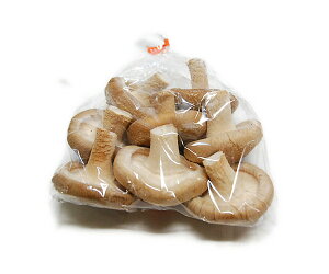 őij@100gi6`8j@@E啪EEB