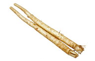 九州産　新ごぼう（牛蒡・ゴボウ・洗いごぼう）　1袋（2〜3本）　＜九州・熊本・鹿児島＞