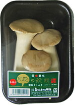 楽天市場】エリンギ（きのこ｜野菜・きのこ）：食品の通販
