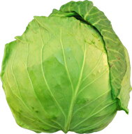 グリンボール　1玉　　九州産、長野・国産（グリーンボール）