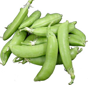 XibNGhEiXibvGhEj@100g@EEkCEY