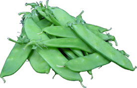 ＜国産＞　　絹さや（きぬさや・キヌサヤ）50g　緑黄色野菜と豆の栄養を兼備！