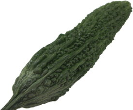 ゴーヤ（にがうり・レイシ） 1本 九州・熊本・福岡・長崎・沖縄・国産