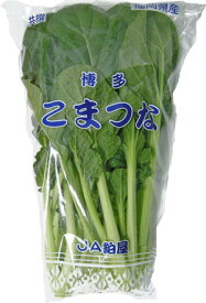 九州産　野菜　小松菜（こまつな・コマツナ）　骨を丈夫に！　1袋　 約200g　　　＜長崎・福岡・九州＞