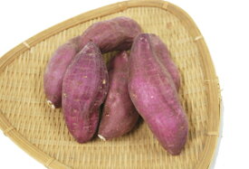九州産　さつま芋（さつまいも・サツマイモ・甘藷）　1箱（約5kg入り）　九州の安心・安全な野菜！　九州・宮崎産