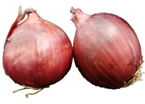 ԋʔKibhʂ˂E܂˂EbhIjIj@2ʁ@AJY