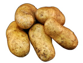 九州産　ばれいしょ（馬鈴薯・ジャガイモ・じゃがいも）　1kg　九州の安心で安全な野菜！　　【九州・長崎・熊本・鹿児島産】