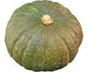 南瓜（かぼちゃ）　1玉　ニュージー・メキシコ・トンガ・ニューカレドニア
