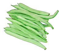 いんげん豆（インゲンマメ） 100g 高知産