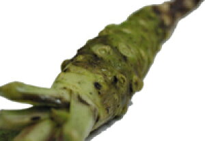 킳сiTrERj@@@Y@m①n