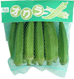 おくら（オクラ）スタミナ野菜の定番！　　1p　＜タイ・フィリピン＞