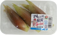 みょうが（茗荷） 1パック 高知産・九州産