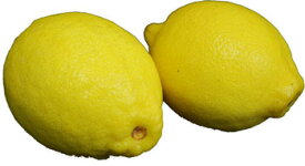 レモン（れもん）　2玉　アメリカ・チリ産