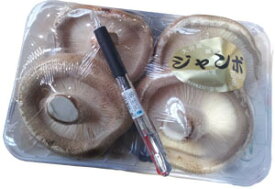 ステーキ椎茸（ジャンボしいたけ）（4枚～8枚）1パック　大分・九州産