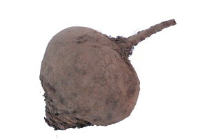 r[ciΉ؁EK[fr[gEEY}L_CRj@1