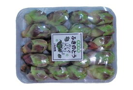 春の苦味！　ふきのとう（フキノトウ）九州・青森・新潟　1パック