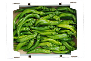 莛Ƃ炵iÒƂj 1 1kg YEsE{Ȃǁ