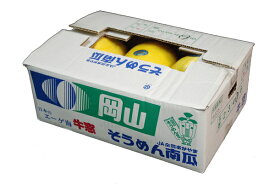 そうめん南瓜1箱3玉〜6玉入り約5kg＜福岡・岡山・長野＞