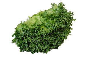 tACXit^XE^XEꂽj@@1@T_؁I@EEY