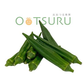 九州産　おくら　（オクラ）　スタミナ野菜の定番！　　1パック　九州の安心・安全な野菜！＜九州・鹿児島・熊本・長崎＞