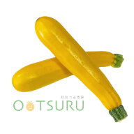 黄色ズッキーニ（オーラム）2本　国産（宮崎・長野・北海道など）