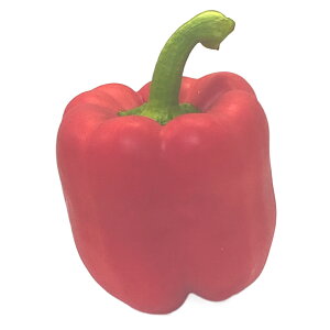 pvJiԁEbhj^̓s[}łI 1 j[W[hEI_E؍