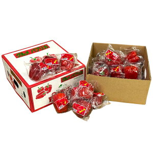 聄@pvJ 130ʁ@ԐFEF@؍Ej[W[hY@ƖpEʔ̔