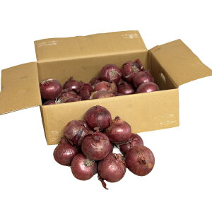 bhʔKiA[[bhEbhIjIj10kg1LTCY