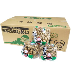 ＜箱売り＞　しめじ（シメジ）　1箱（約200g×30袋入り）　福岡産　＜業務用・大量販売＞