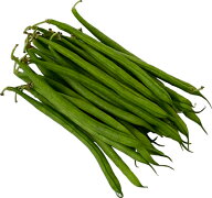 ＜高知産＞　すじなしいんげん豆（インゲンマメ・豆・まめ）　100g