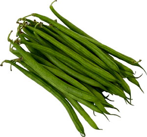 mY@Ȃ񂰂񓤁iCQ}EE܂߁j@100g