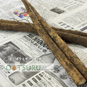 yڂiES{EES{[j 1܁i2{jLxȐH@ۂŒXbLIEEXȂǁ