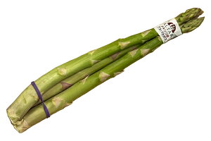 AXp1100g@AE^CEtBsELVRȂ