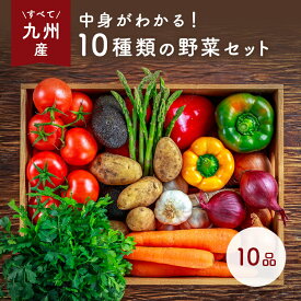なかみが分かる 九州野菜セット《早生きゃべ、玉ネギ、なす、とまと、じゃが芋、リーフ、えのき、しめじ、青葱、小松菜》
