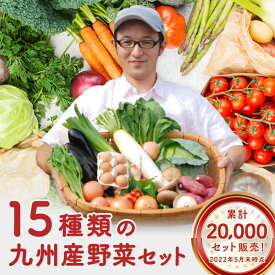 ＜あす楽＞九州野菜セット15品旬の野菜詰め合せ＜送料無料＞おまかせ詰め合わせセット！人気のセット！西日本＜セット＞