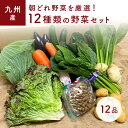 「あす楽」【セット】　おまかせ　九州野菜セット　12品 旬の野菜詰め合せ・おまかせ詰め合わせセット！　人気のセッ…