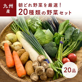 ★ポイント5倍 15日00:00～15日23:59★ 「あす楽」20品野菜セット おまかせ　九州野菜セット　20品 旬の野菜詰め合せ・おまかせ詰め合わせセット！　人気のセット！　西日本　【送料無料】