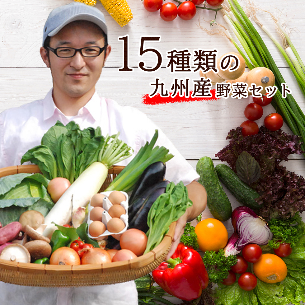 大切な家族の健康を考えるお母さんに安全な野菜を選んでほしい！ 【あす楽】【セット】 おまかせ 九州野菜セット 15品 旬の野菜詰め合せ・おまかせ詰め合わせセット！ 人気のセット！ 西日本 【送料無料】