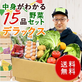 なかみがわかるデラックスセット（野菜・果物）　全15品　N20