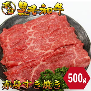 јa Ԑg Ă 500g Ԃ I   񂹃O