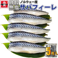 ＼複数購入でお得っ!!2個で600円OFF！3個で1,200円OFF！／ 骨取 サバ 切り身 5切 無塩 切り身 さば 鯖 き…