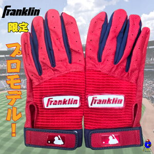 yGg[P5{IX[p[Z[ztN obeBO vf p ʗp Franklin  obeBOO[u bh   싅  J[ 2023Nf 